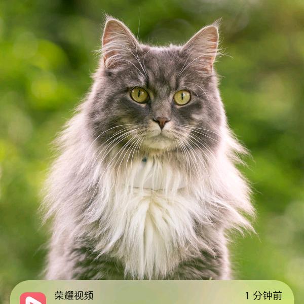 雨中漫步之人生路