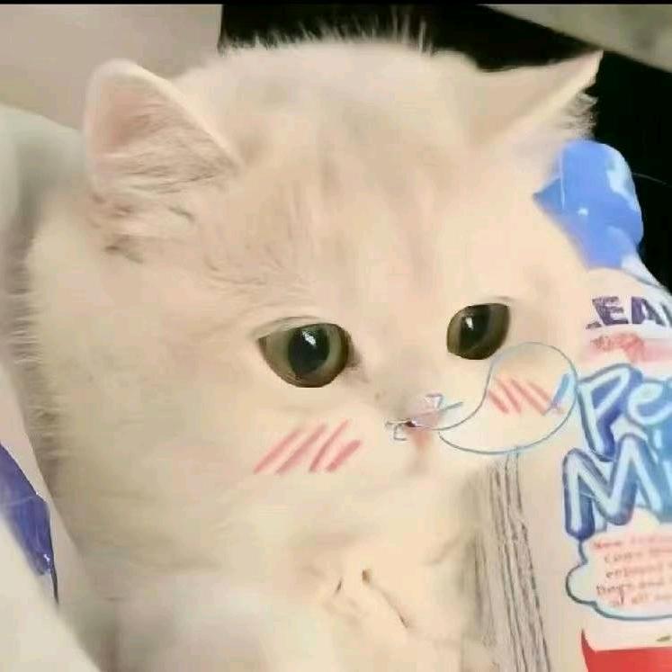 刘小杰.
