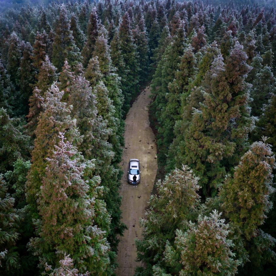 小左洗美 工作室