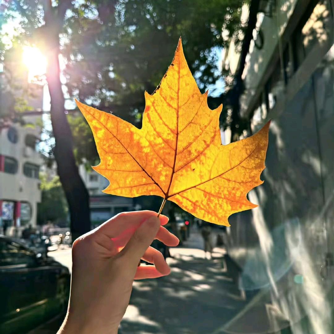 Wa•͈ᴗ⁃͈ ✧ng