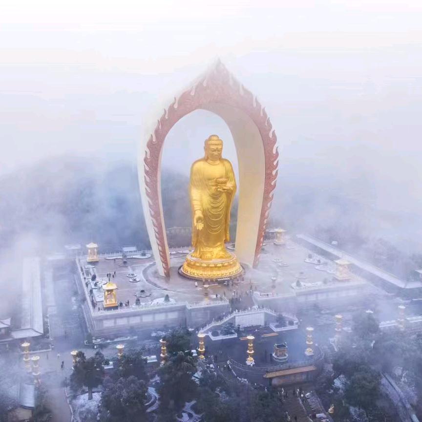沈军