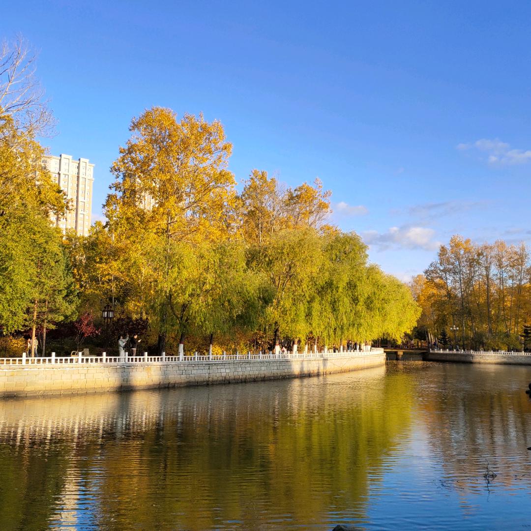 小兔子爱大萝卜