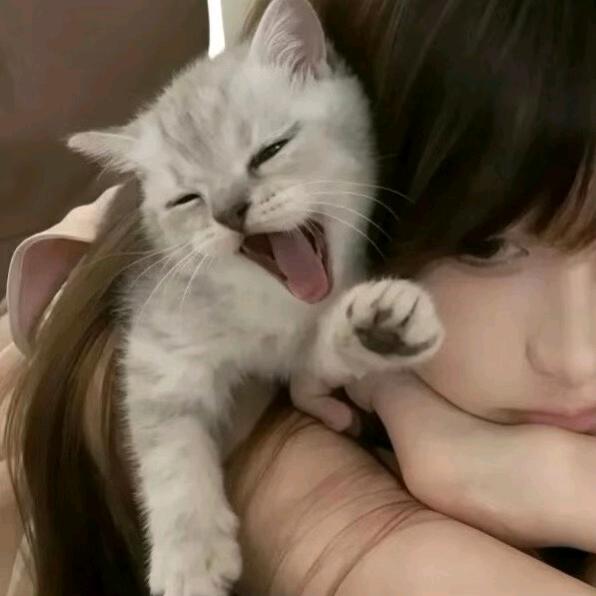 小意不会晚#56365