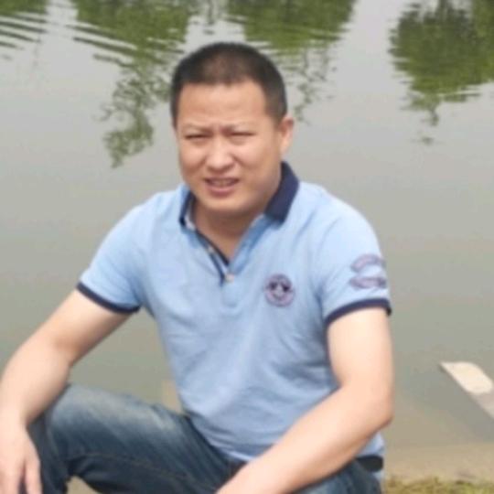 一只牛