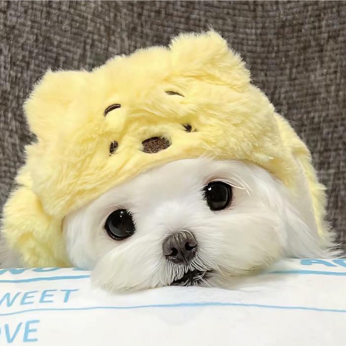 马铃薯