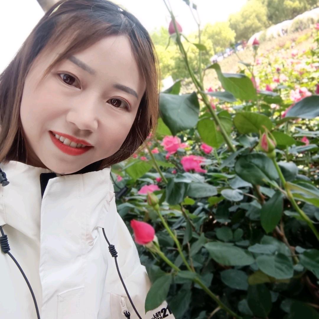 开心每天