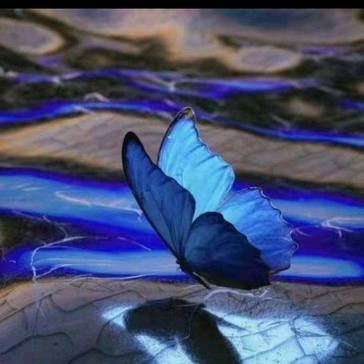 为幸福让步  🥰