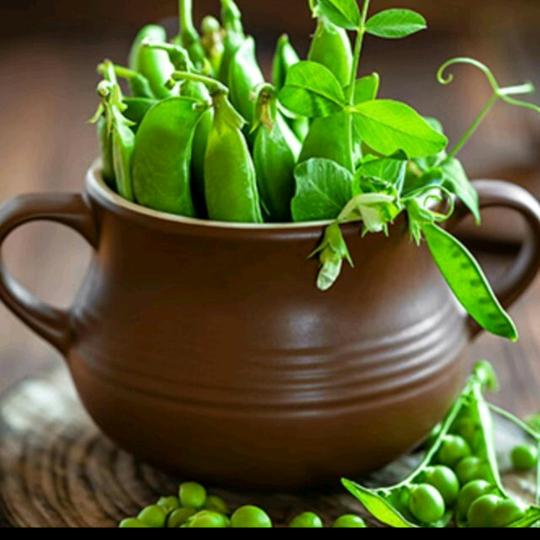 友缘鲜果(小袁)