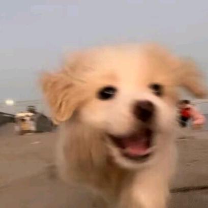 北海、