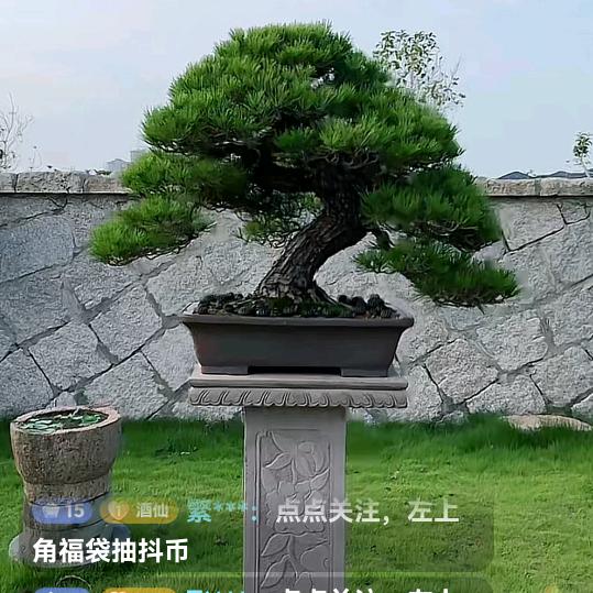 骏马奔腾