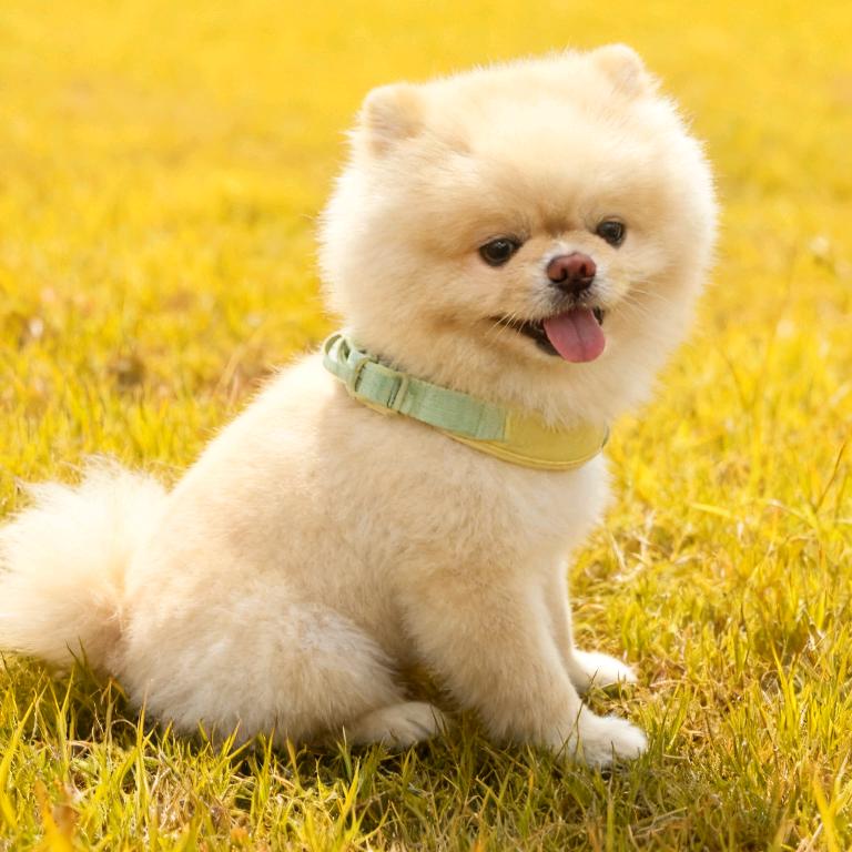 別歡迎！路過的！