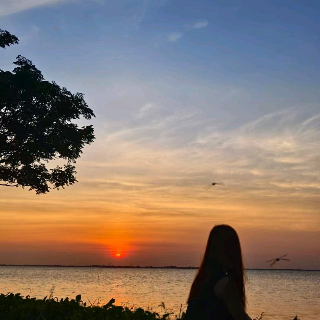 财经涨公主Zhang