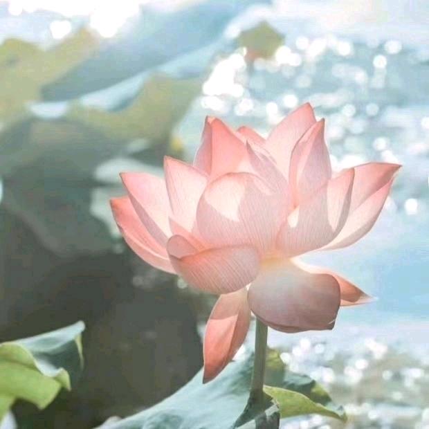 哈哈.