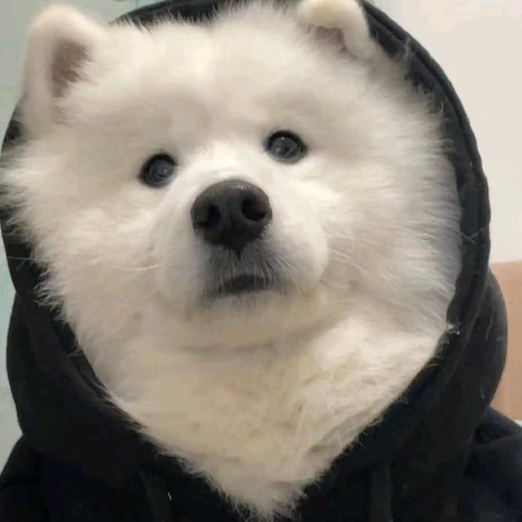 是虹晨不是红尘