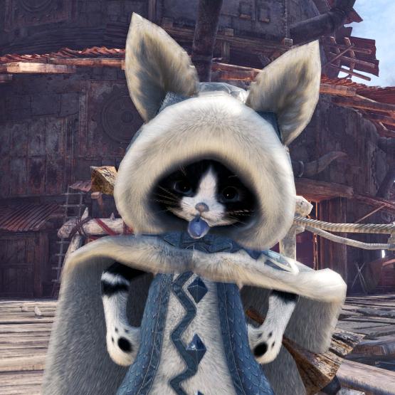 龙卷猫