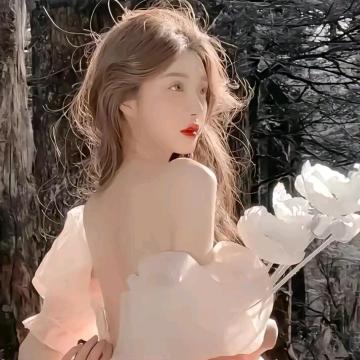 感情大使