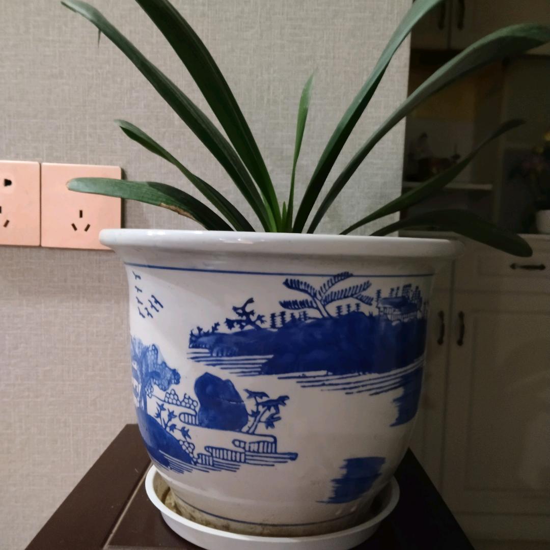 一生有缘