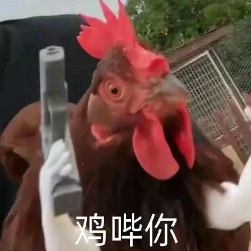 求求别让我取名