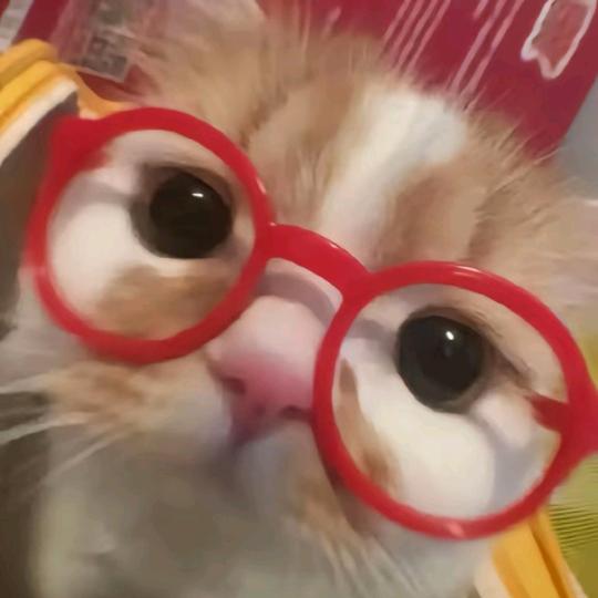 今天天气真好~(快乐生活版！