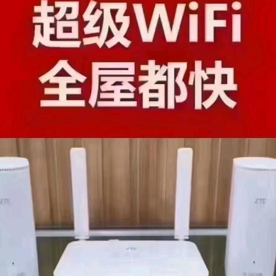 李大龙