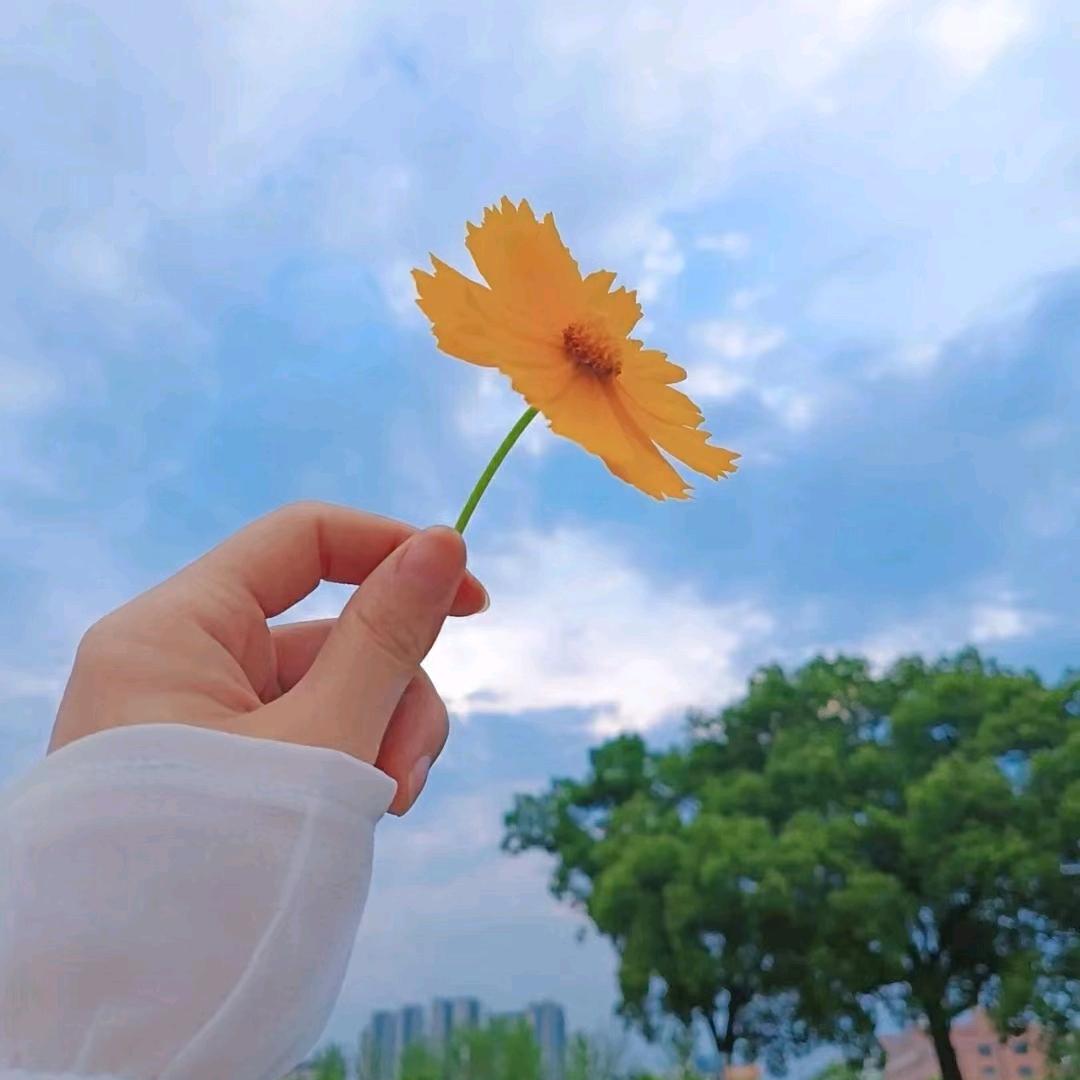 知夏✨