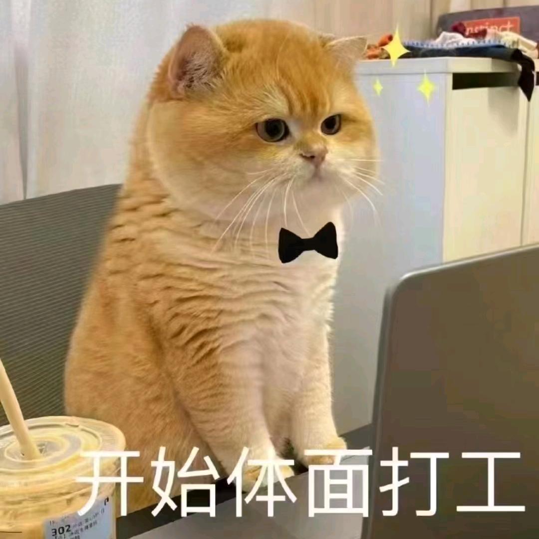 马达马达达呐头像