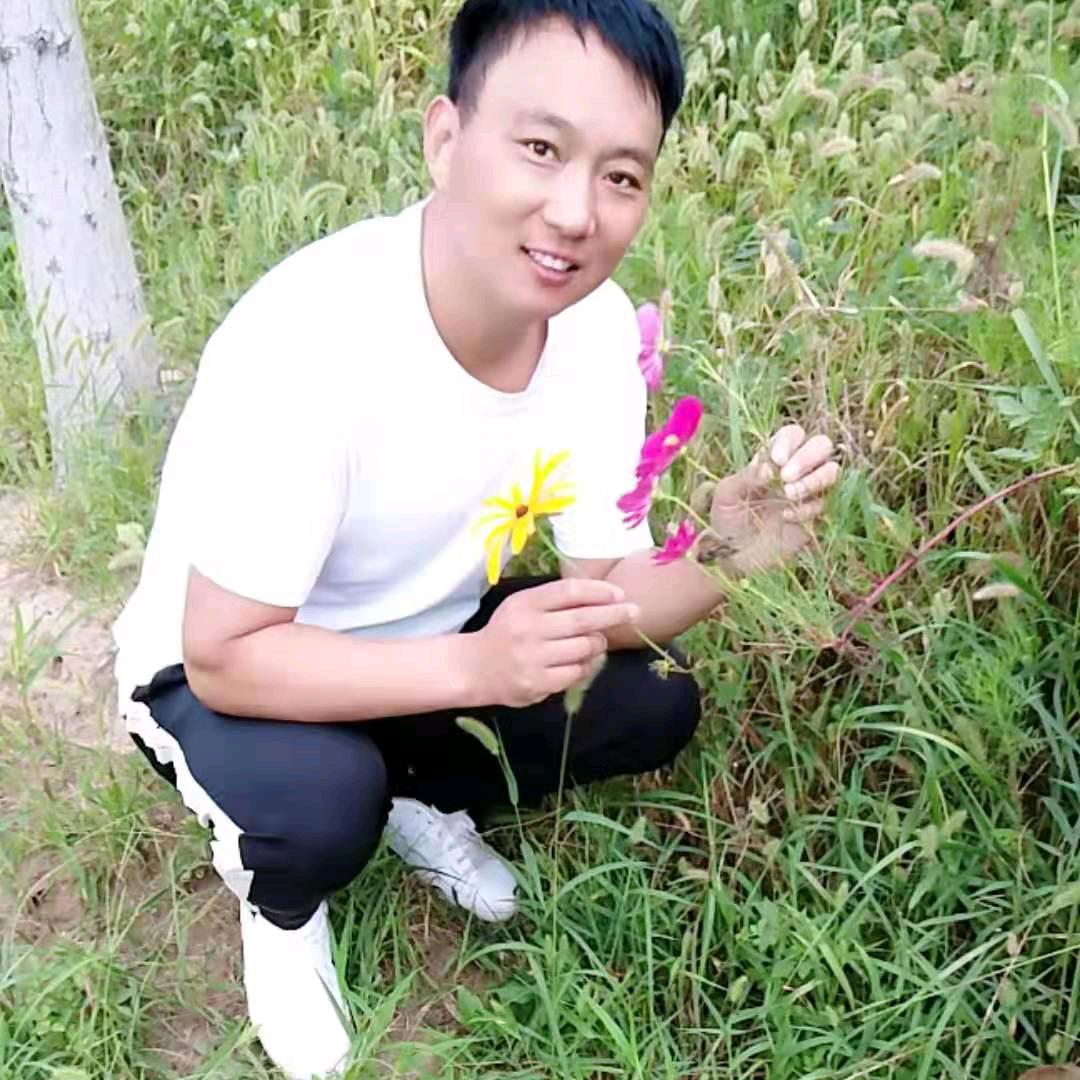 淮安甲醛检测净化