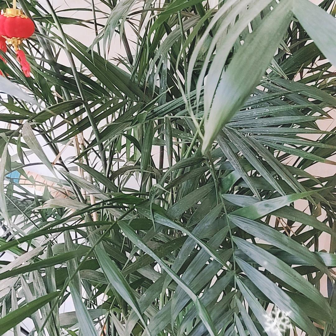 备孕调理生活馆