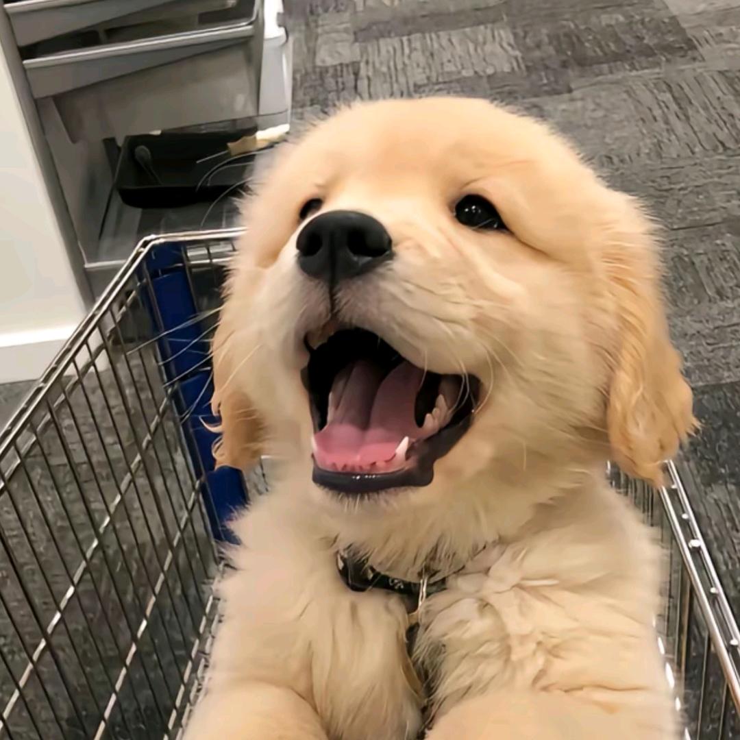 。.