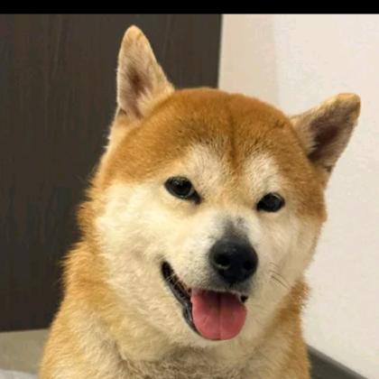 更从心