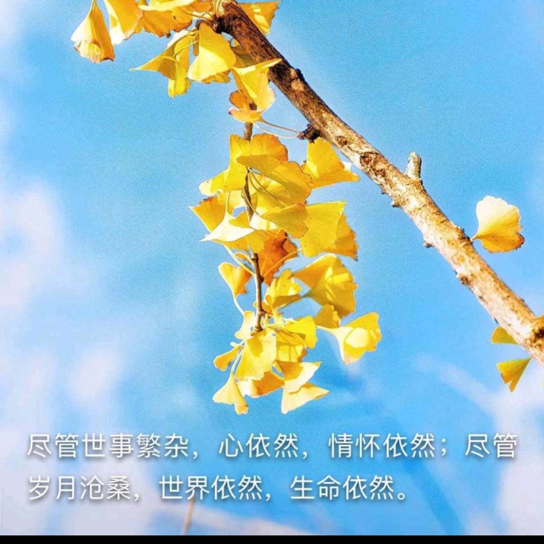 走遍天涯海角