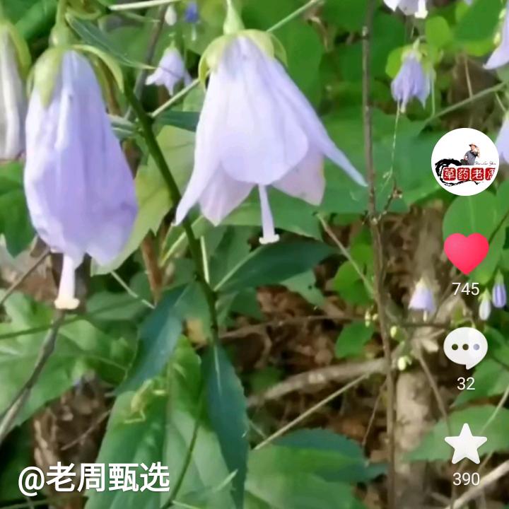 天世地理人和