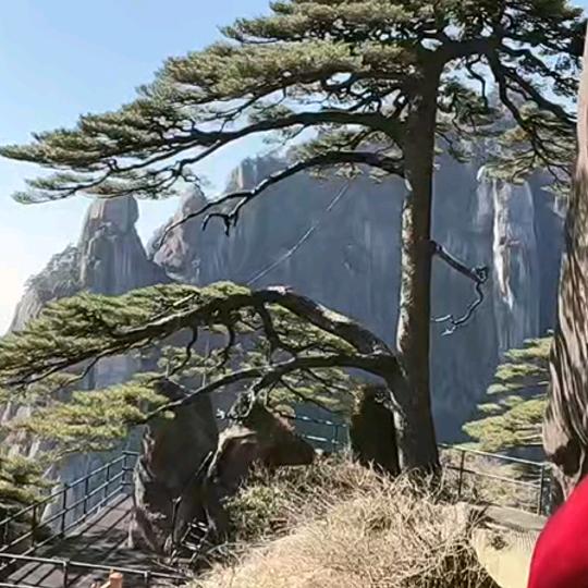 小脾气，大人物