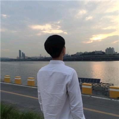 海风掠过北极光