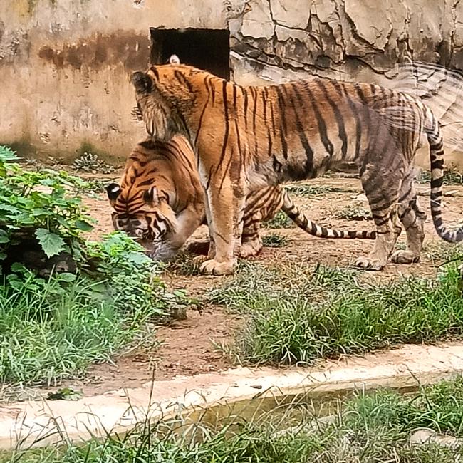 笑$与眼泪并存&