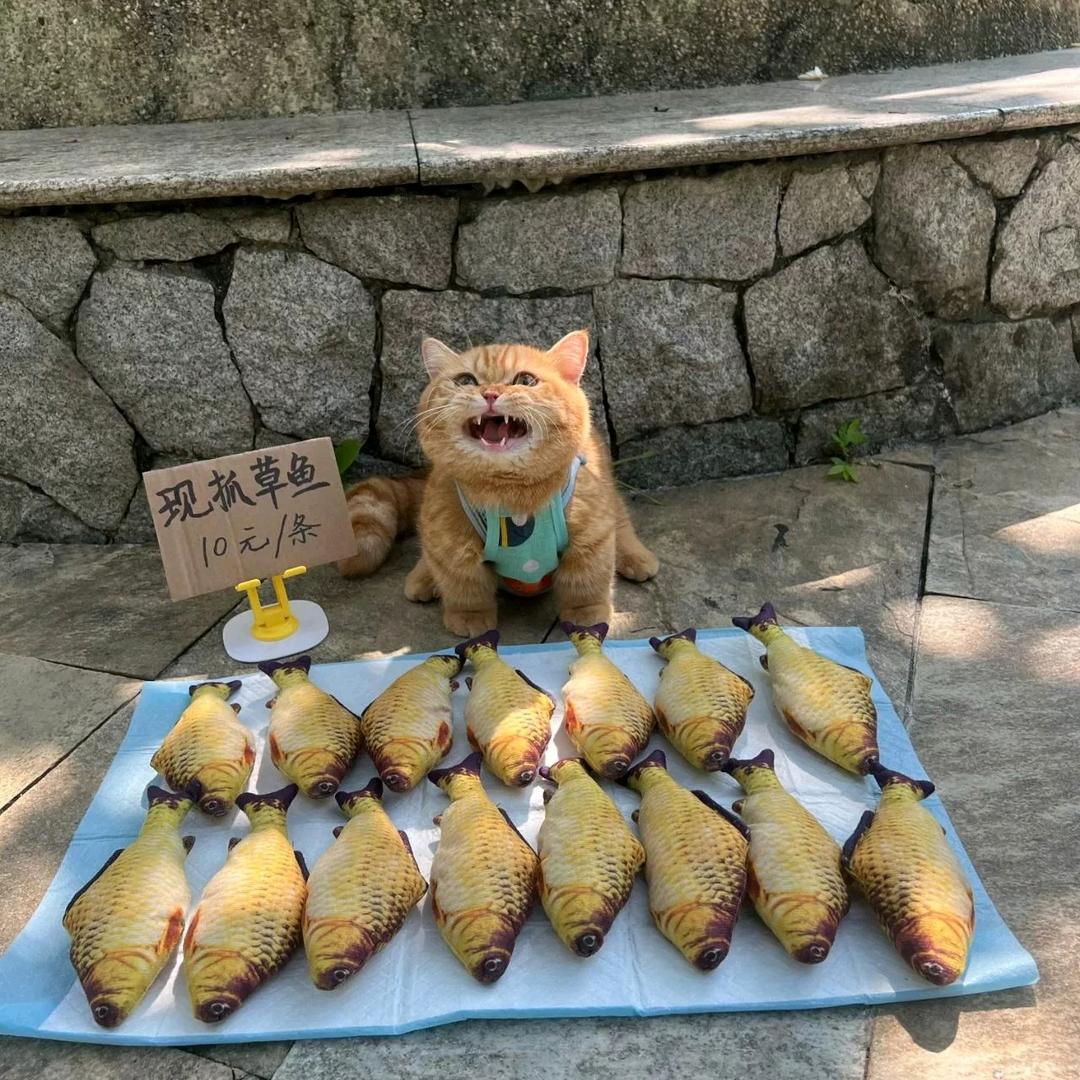 慢