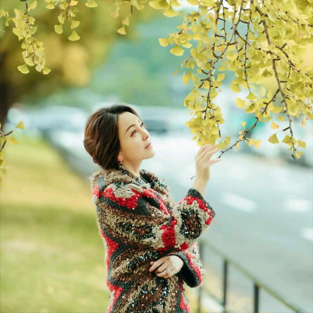 雪姨王琳(轻奢女装)