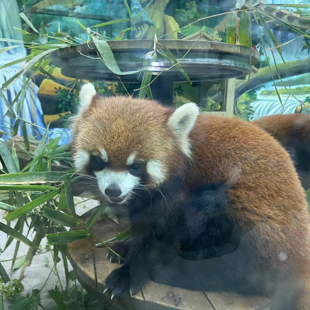 奋斗者〔小陈〕