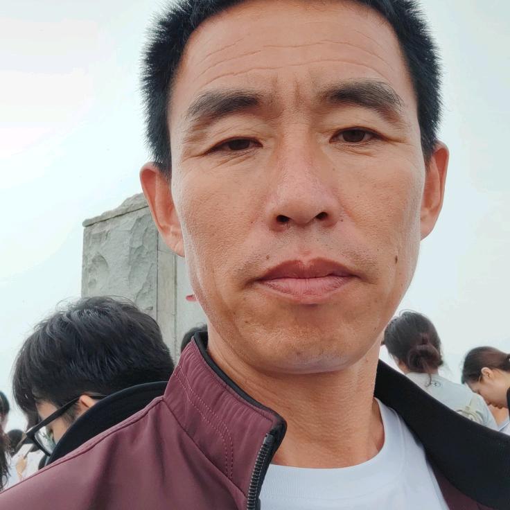 蛋鸡滑液囊