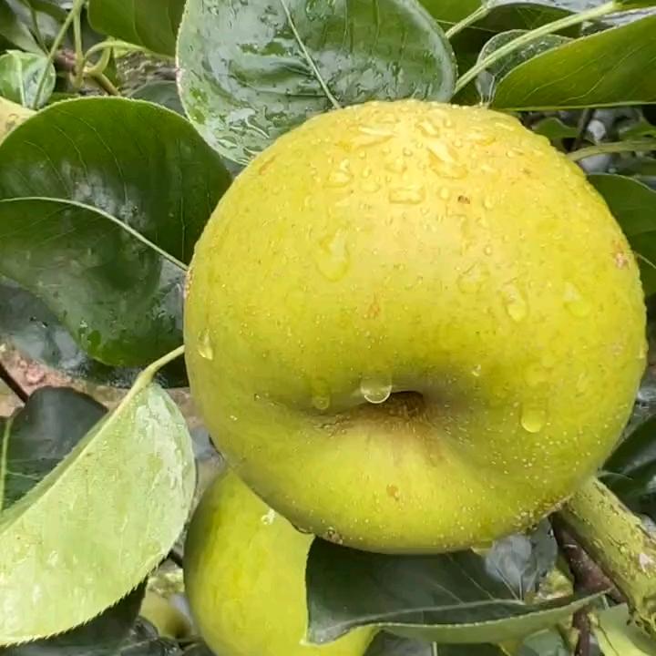 邳州艾山风景区。