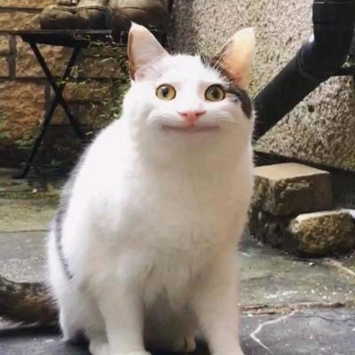 稀里糊涂