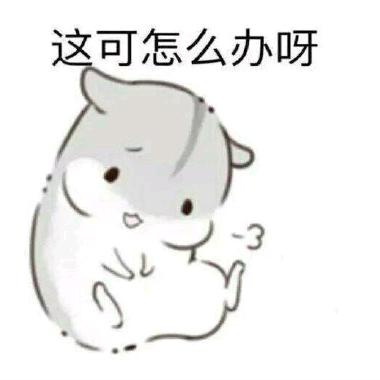 向半仙儿