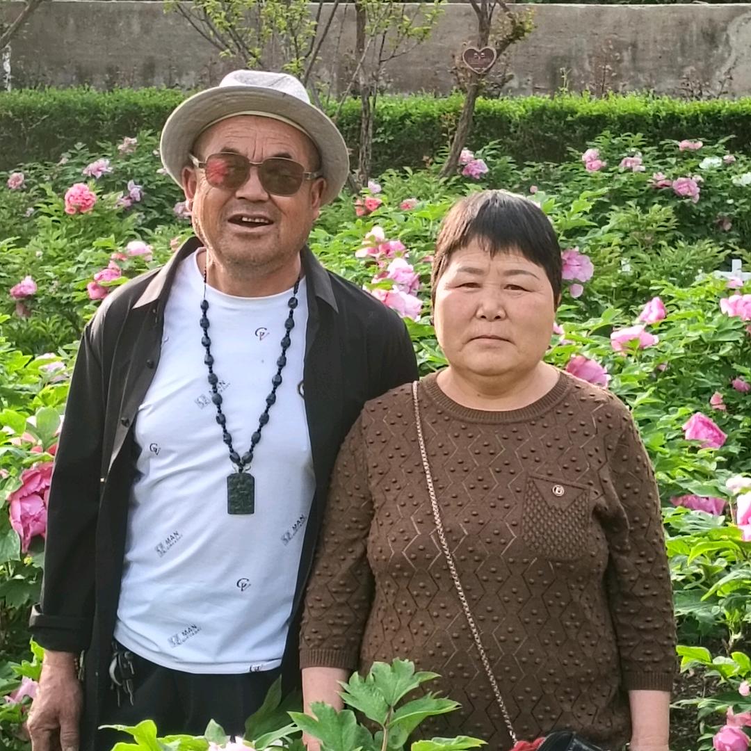 三九天的太阳548