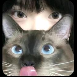 AAA涵