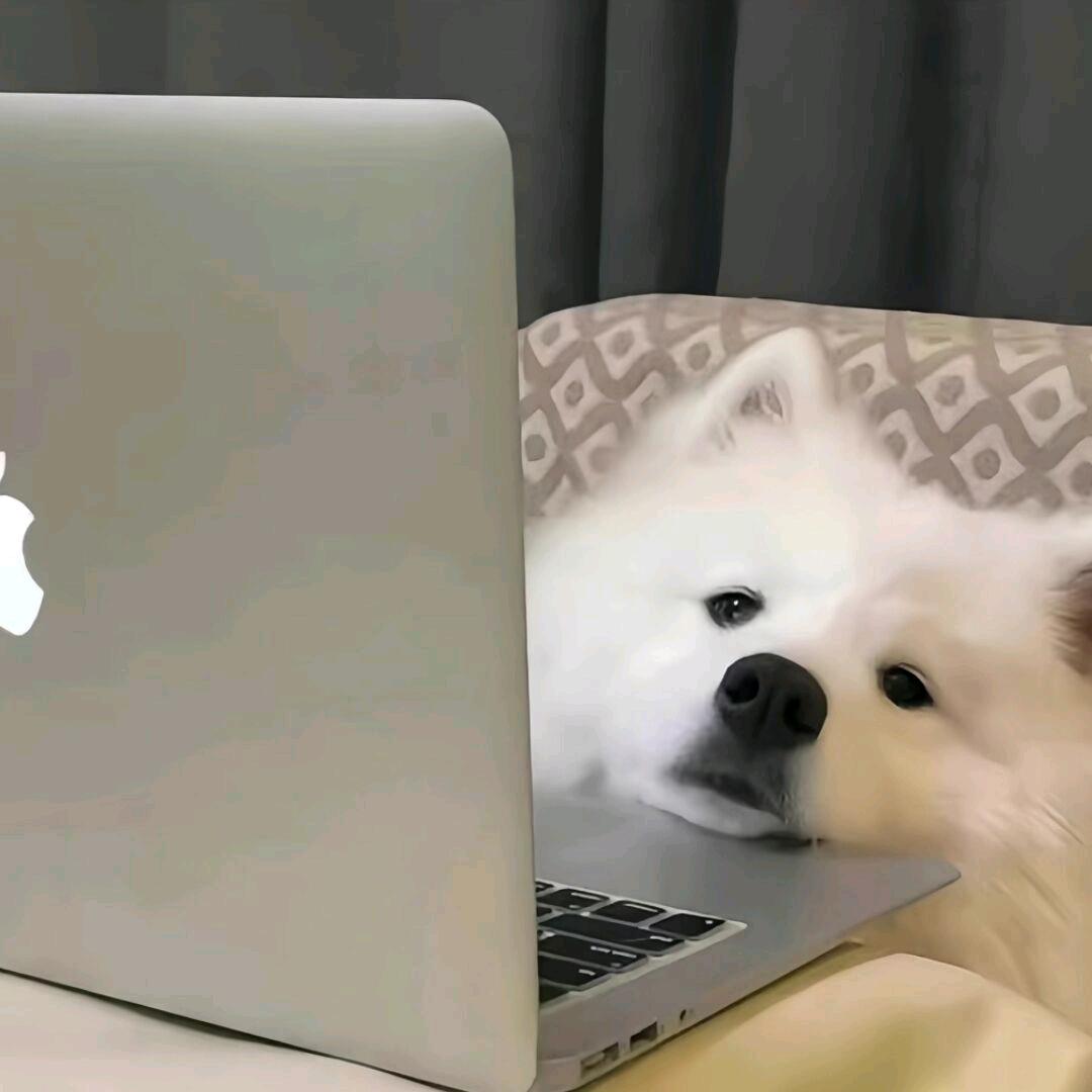敢敢