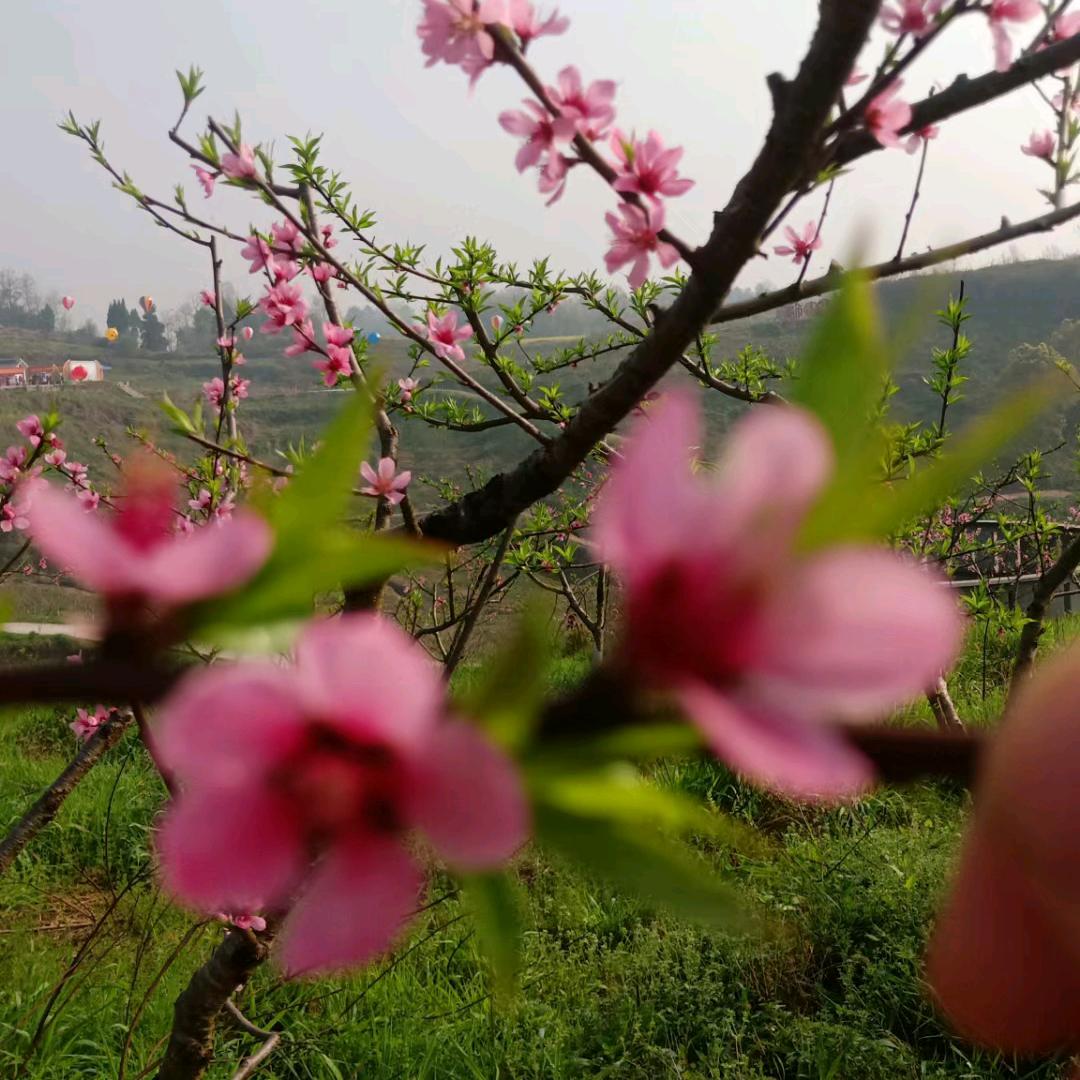 用户3056193319666抖音有缘人