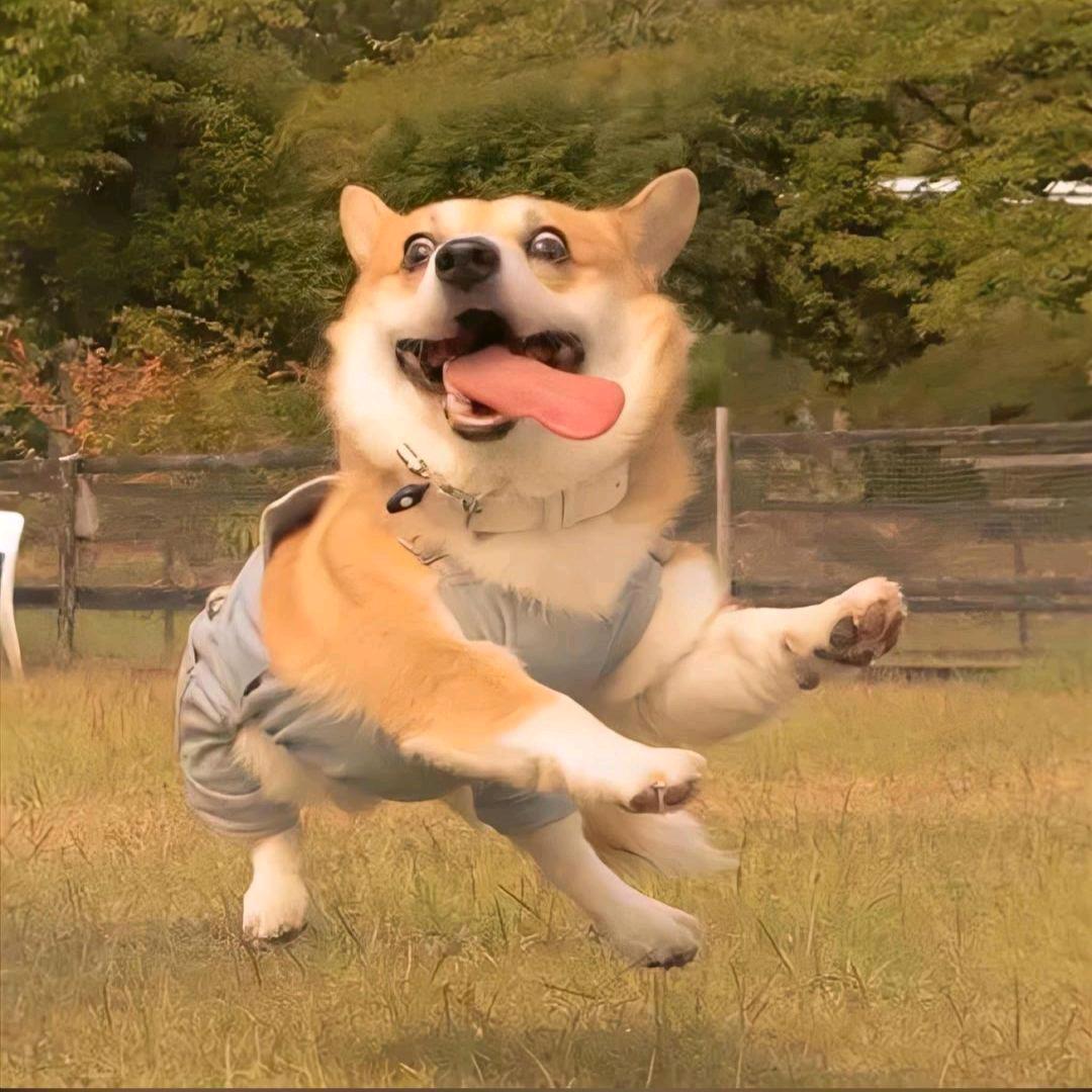 子奕哦？