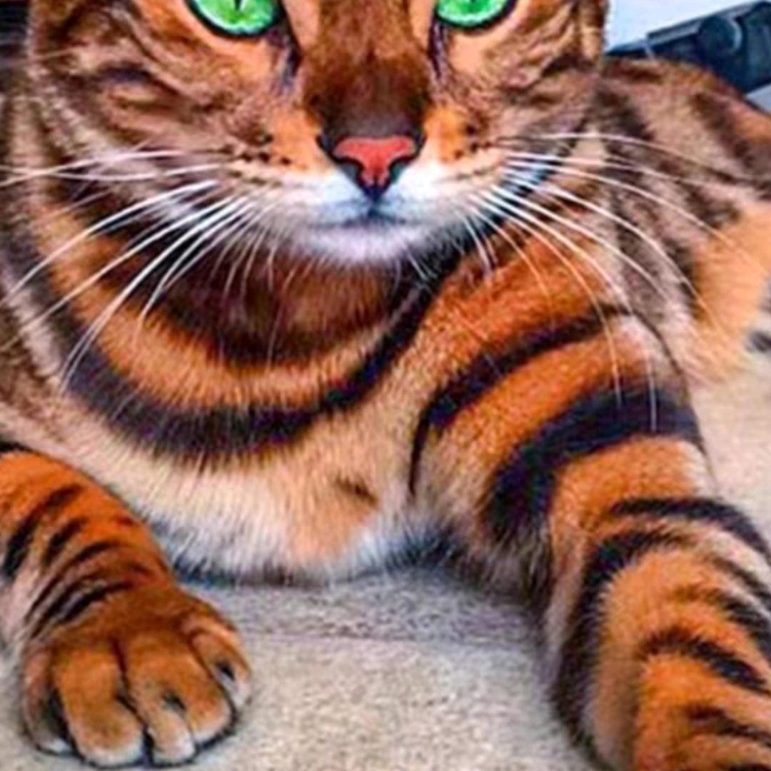 生死看淡，不服就干