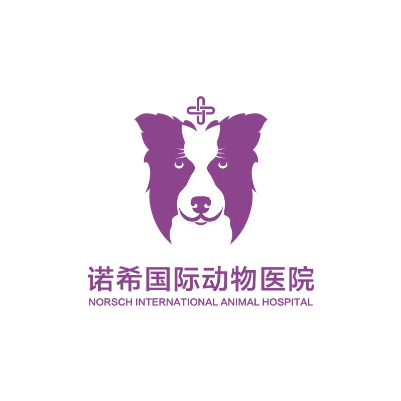 诺希国际动物医院(祈福总院)