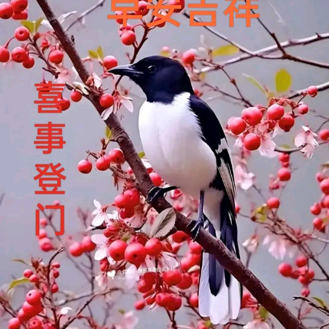 春暧花开